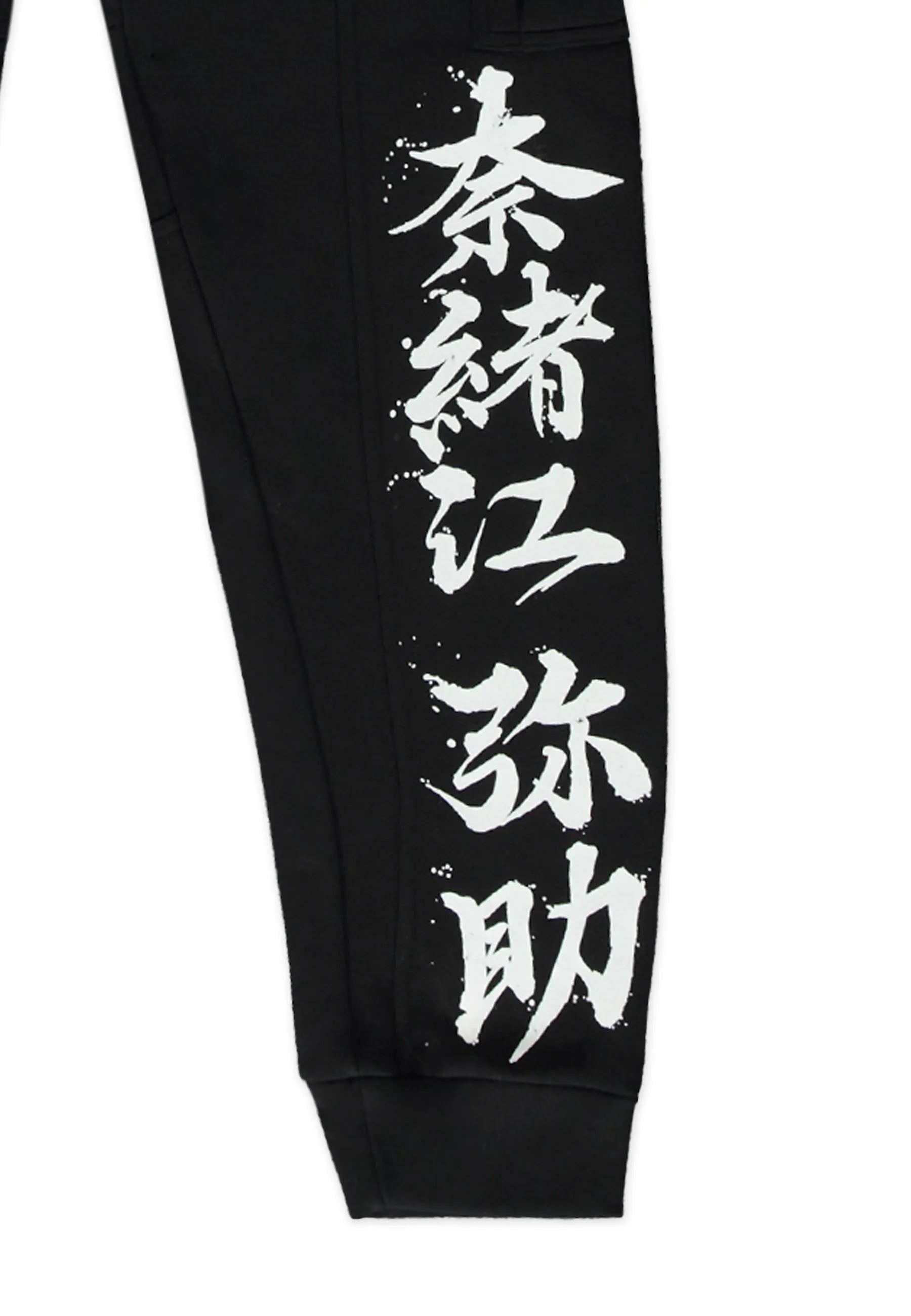 Sweat Pants - Assassin's Creed Shadows - Ronin Cargo Jogger