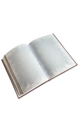 Notizbuch - Liza Grimm - Eislotus